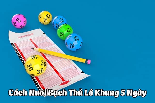 bạch thủ lô khung 5 ngày